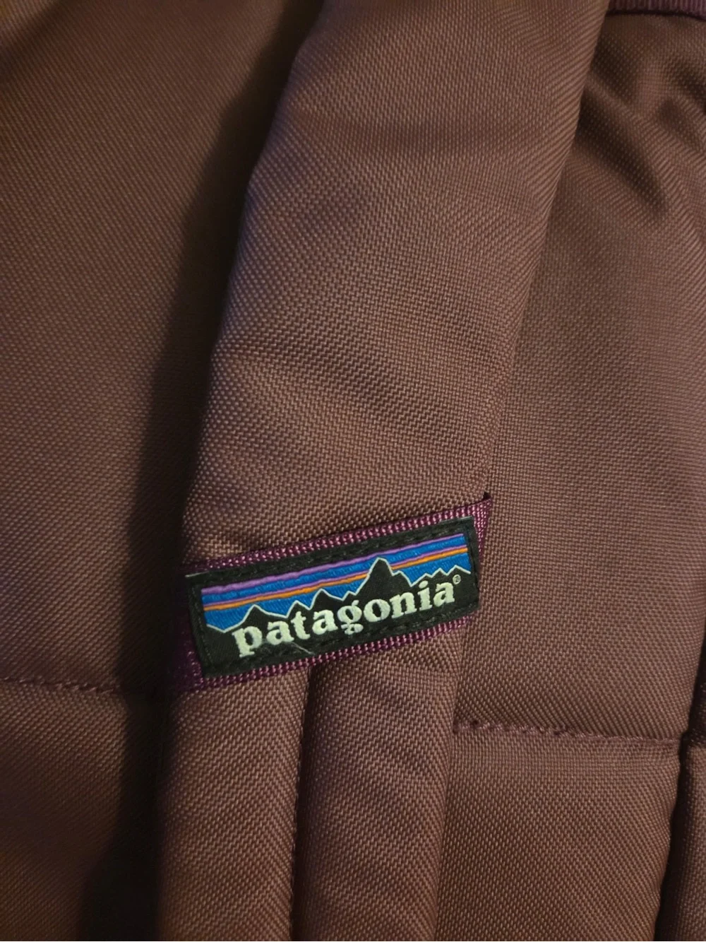 Patagonia Plum Backpack with Teal Trim, Outdoors, Gorpcore, Hiking, Camping